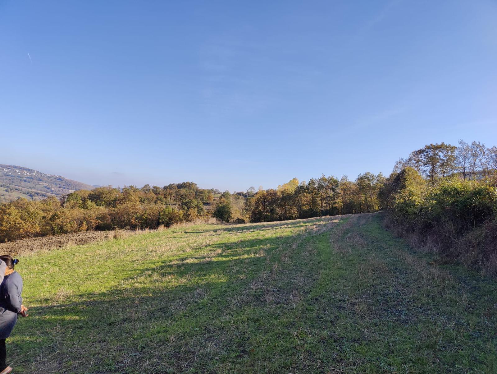 ATAKUM AKALAN'DA DOĞA İLE İÇ İÇE YATIRIMLIK TARLA
